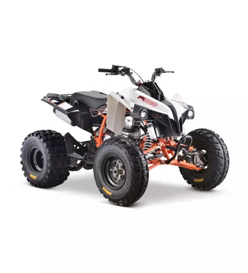 x500px_QUAD-KAYO-A300-SKLEPAGROPRO,P20,282,29.webp.pagespeed.ic.sn2qWTlN0Z